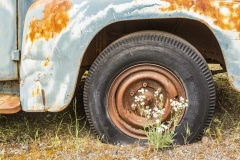 Flat Tire with Wildflower
