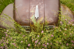Flowered-Fender