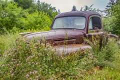 Flowers-and-an-Old-Truck
