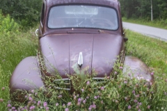 Roadside-Find