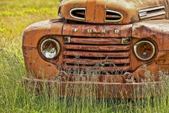 Rusty Ford