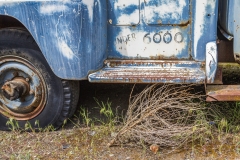 Tumbleweed Truck